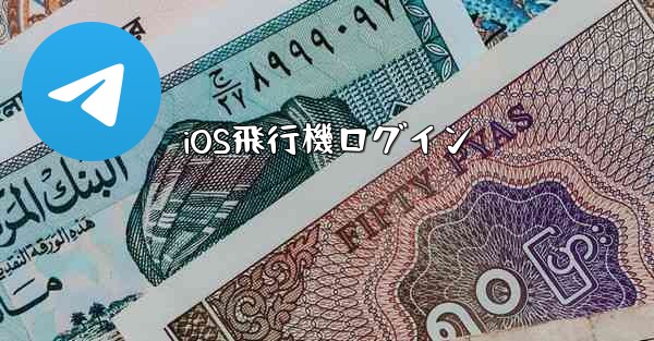 iOS飛行機ログイン