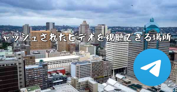 Paper Plane のキャッシュされたビデオを視聴できる場所