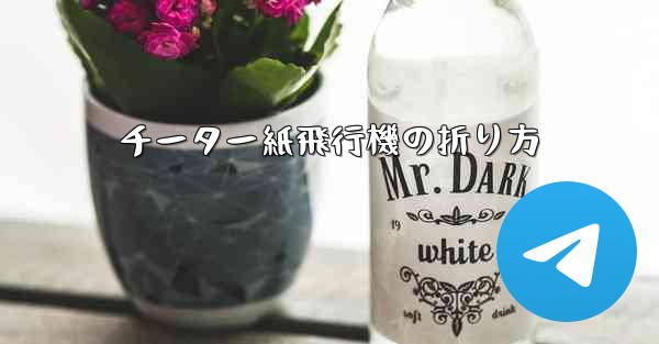 <b>チーター紙飛行機の折り方</b>