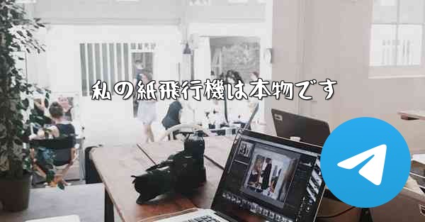 私の紙飛行機は本物です