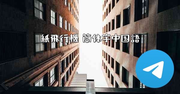 紙飛行機 簡体字中国語