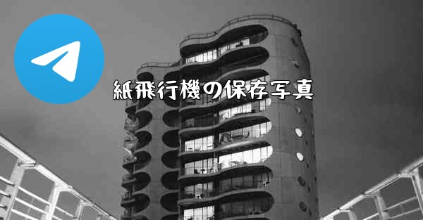 紙飛行機の保存写真