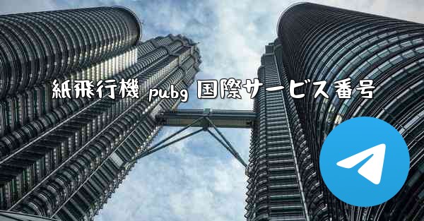 紙飛行機 pubg 国際サービス番号