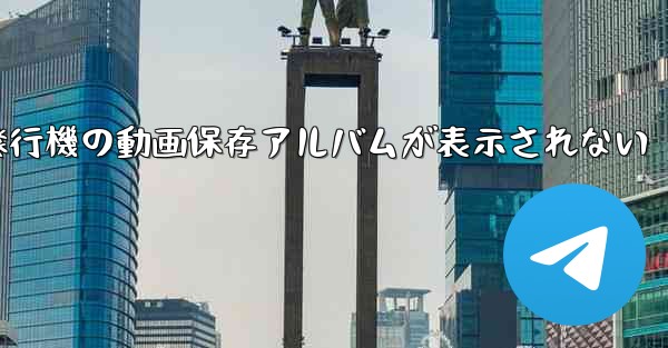 <b>紙飛行機の動画保存アルバムが表示されない</b>