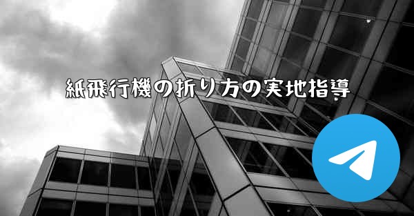紙飛行機の折り方の実地指導
