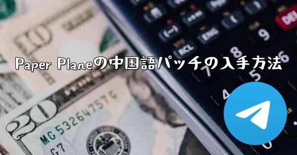 Paper Planeの中国語パッチの入手方法