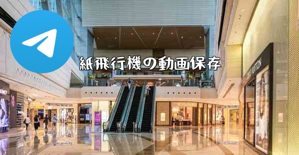 紙飛行機の動画保存