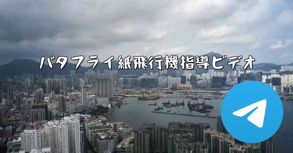 バタフライ紙飛行機指導ビデオ