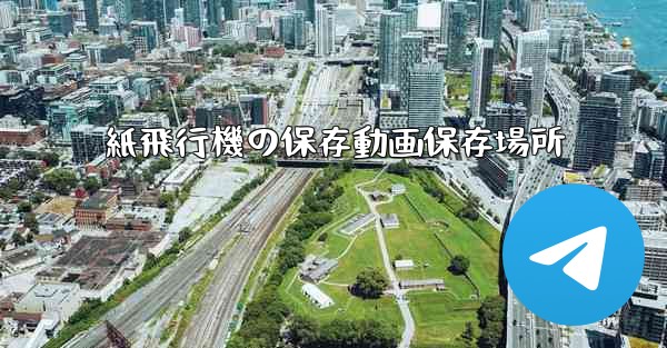 紙飛行機の保存動画保存場所