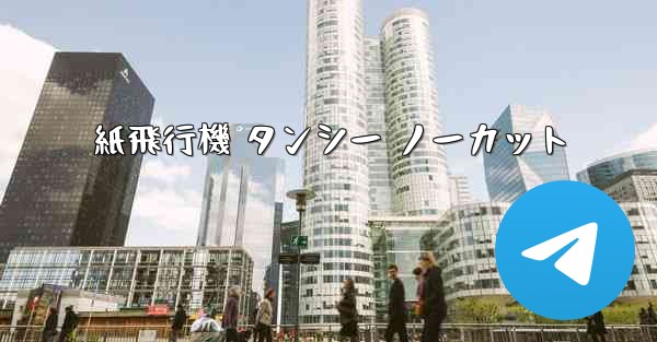 紙飛行機 タンシー ノーカット