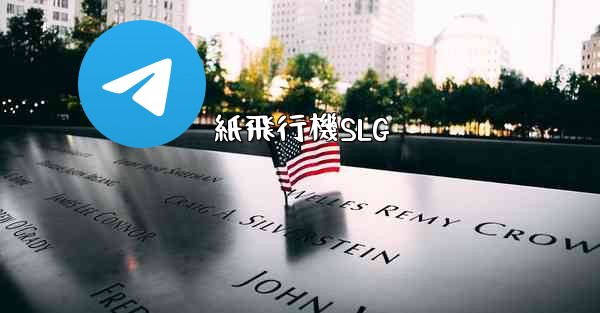 <b>紙飛行機SLG</b>