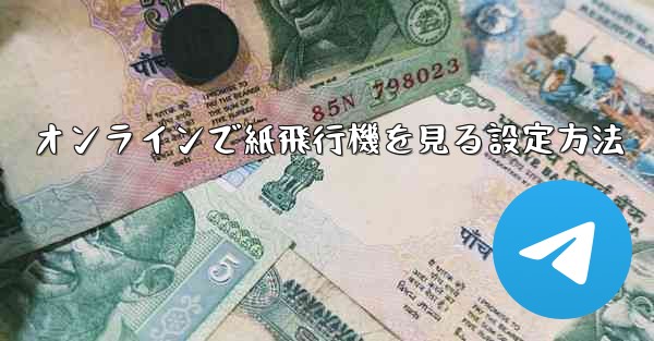 <b>オンラインで紙飛行機を見る設定方法</b>