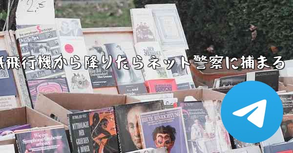 紙飛行機から降りたらネット警察に捕まる