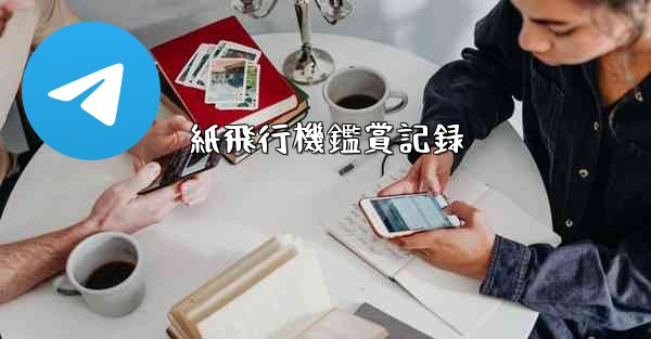 紙飛行機鑑賞記録