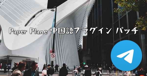 Paper Plane 中国語プラグイン パッチ