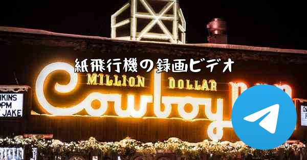 <b>紙飛行機の録画ビデオ</b>