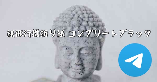 紙飛行機折り紙 コンプリートブラック