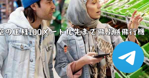空の王様100メートル先まで飛ぶ紙飛行機