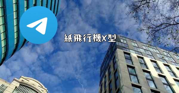 紙飛行機X型
