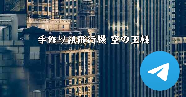 手作り紙飛行機 空の王様