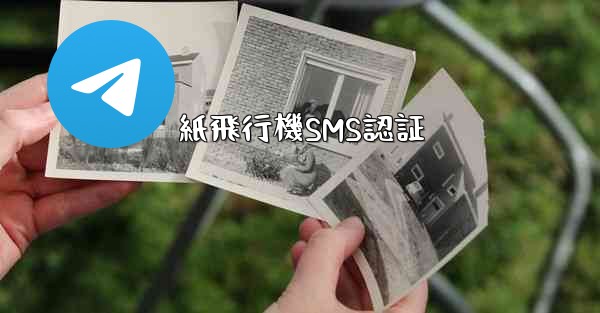 紙飛行機SMS認証