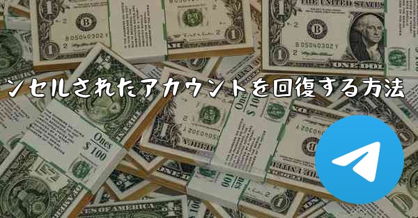 <b>Paper Planeのキャンセルされたアカウントを回復する方法</b>