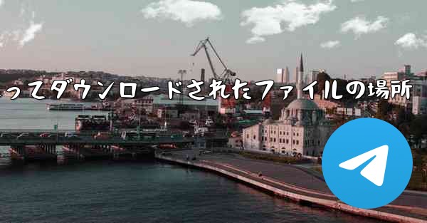 tg によってダウンロードされたファイルの場所