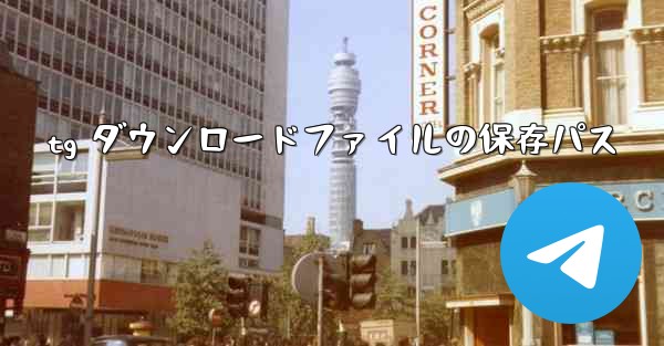 <b>tg ダウンロードファイルの保存パス</b>