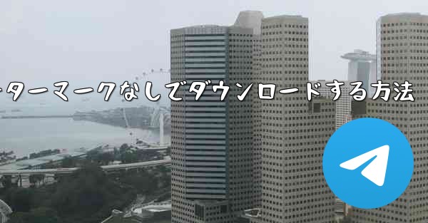 サイトbの動画をウォーターマークなしでダウンロードする方法