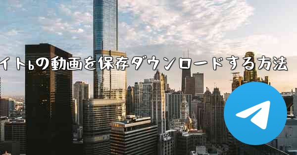 <b>サイトbの動画を保存ダウンロードする方法</b>