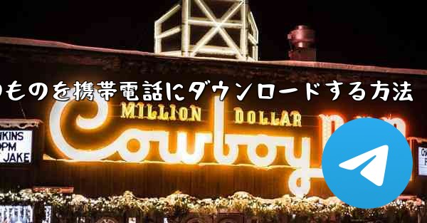 飛行機内のものを携帯電話にダウンロードする方法